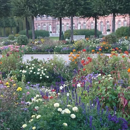 Komfortables 3-zimmer In Zwischen Mannheim Und Heidelberg *